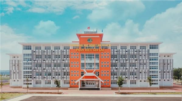 Phân hiệu Đại học Nông Lâm TPHCM tại Gia Lai